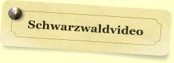 Schwarzwaldvideo