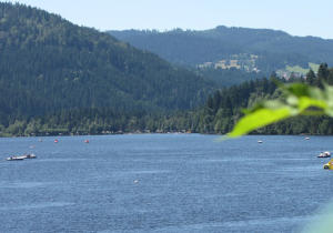 Titisee